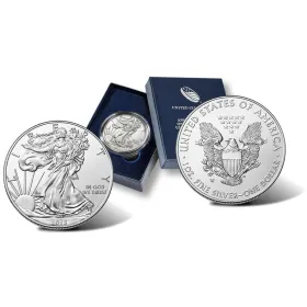 2015-W $1 Burnished American Silver Eagle OGP/COA