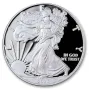 2020-S American Silver Eagle Proof OGP/COA