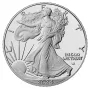 2024-W Proof American Silver Eagle OGP/COA