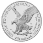 2024-W Proof American Silver Eagle OGP/COA