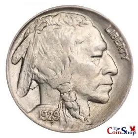 1929-P Buffalo Nickel