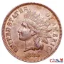1880 Indian Head Cent | Premium Wholesale Collectible Indian Head Cents  | The Coin Shop