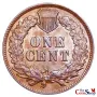 1880 Indian Head Cent | Premium Wholesale Collectible Indian Head Cents  | The Coin Shop