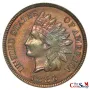 1886 Type 2 Indian Head Cent | Premium Wholesale Collectible Indian Head Cents  | The Coin Shop