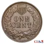 1893 Indian Head Cent | Premium Wholesale Collectible Indian Head Cents  | The Coin Shop