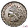 1895 Indian Head Cent | Premium Wholesale Collectible Indian Head Cents  | The Coin Shop