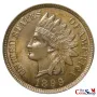 1899 Indian Head Cent | Premium Wholesale Collectible Indian Head Cents  | The Coin Shop
