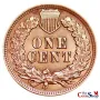 1903 Indian Head Cent | Premium Wholesale Collectible Indian Head Cents  | The Coin Shop