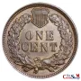 1907 Indian Head Cent | Premium Wholesale Collectible Indian Head Cents  | The Coin Shop