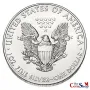 2013 American Silver Eagle UNC | Premium Wholesale Collectible American Silver Eagles | The Coin Shop